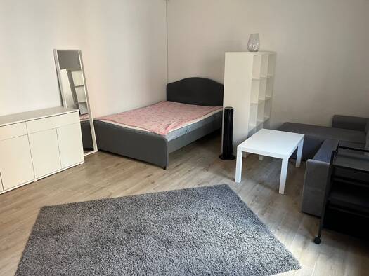 Wohnung zur Miete 550 € 1 Zimmer 29 m² Geschoss 1/4 frei ab sofort Angerstraße 13 Innenstadt Fürth 90762