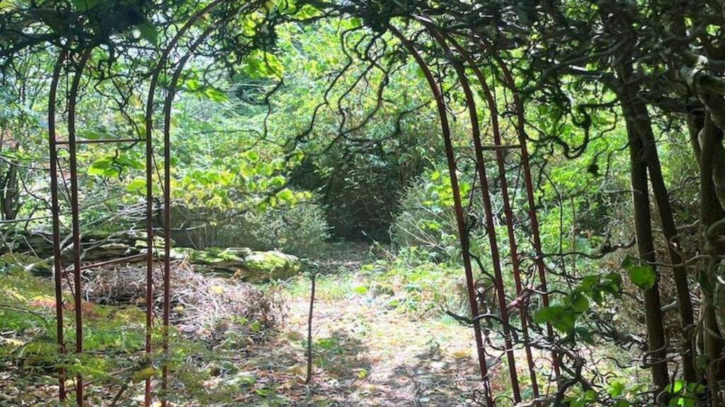 Grundstück zum Kauf 270.000 € 1.132 m² Grundstück Weißenohe 91367