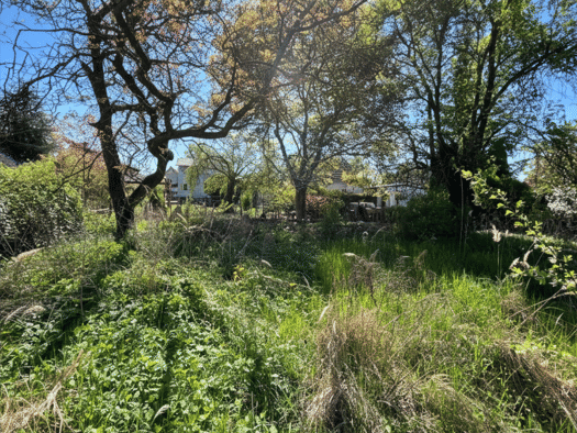 Grundstück zum Kauf 329.000 € 600 m² Grundstück Mahlsdorf Berlin 12623
