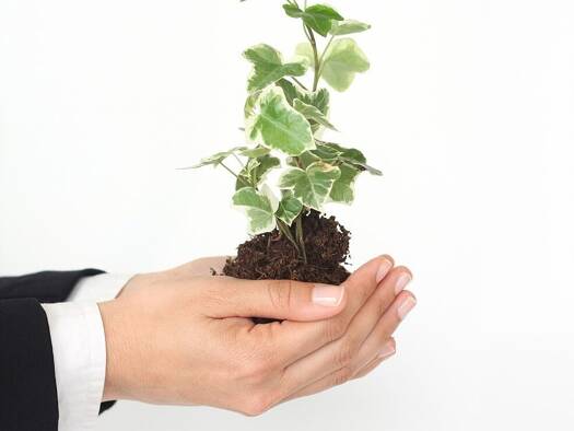 Haus zum Kauf provisionsfrei 100.000 € Salzburg 5020