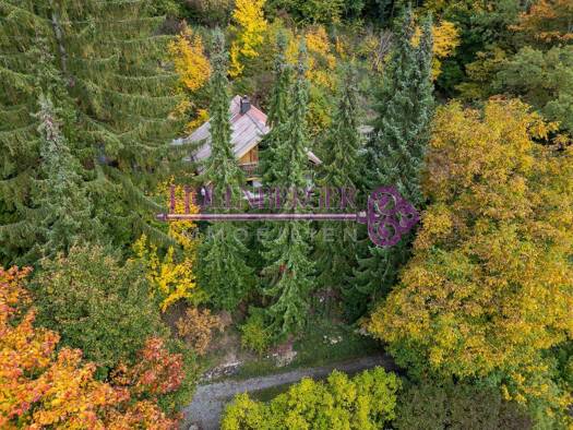 Einfamilienhaus zum Kauf 349.000 € 3 Zimmer 78 m² 1.877 m² Grundstück Winzer-Kager Regensburg 93059