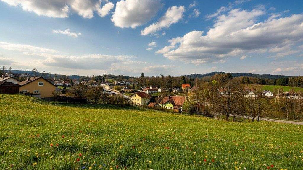 Grundstück zum Kauf 47.950 € 1.918 m² Grundstück Bad Großpertholz 3972