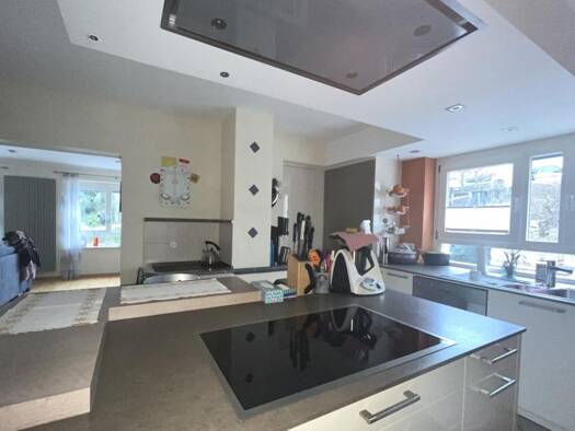 Mehrfamilienhaus zum Kauf 665.000 € 10 Zimmer 246 m² 724 m² Grundstück Oppenau 77728