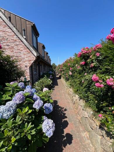 Reihenmittelhaus zum Kauf 1.149.000 € 4 Zimmer 110,4 m² 2.785 m² Grundstück Zur Eiche 40d Tinnum Sylt 25980