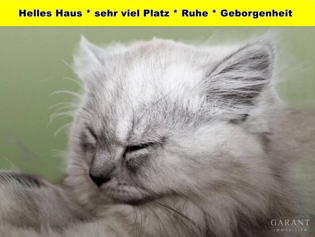 Doppelhaushälfte zum Kauf 694.000 € 8 Zimmer 190 m² 479 m² Grundstück frei ab 01.10.2026 Oberensingen Nürtingen 72622