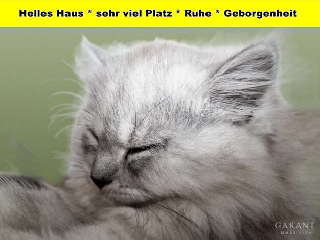 Doppelhaushälfte zum Kauf 694.000 € 8 Zimmer 190 m² 479 m² Grundstück frei ab 01.10.2026 Oberensingen Nürtingen 72622