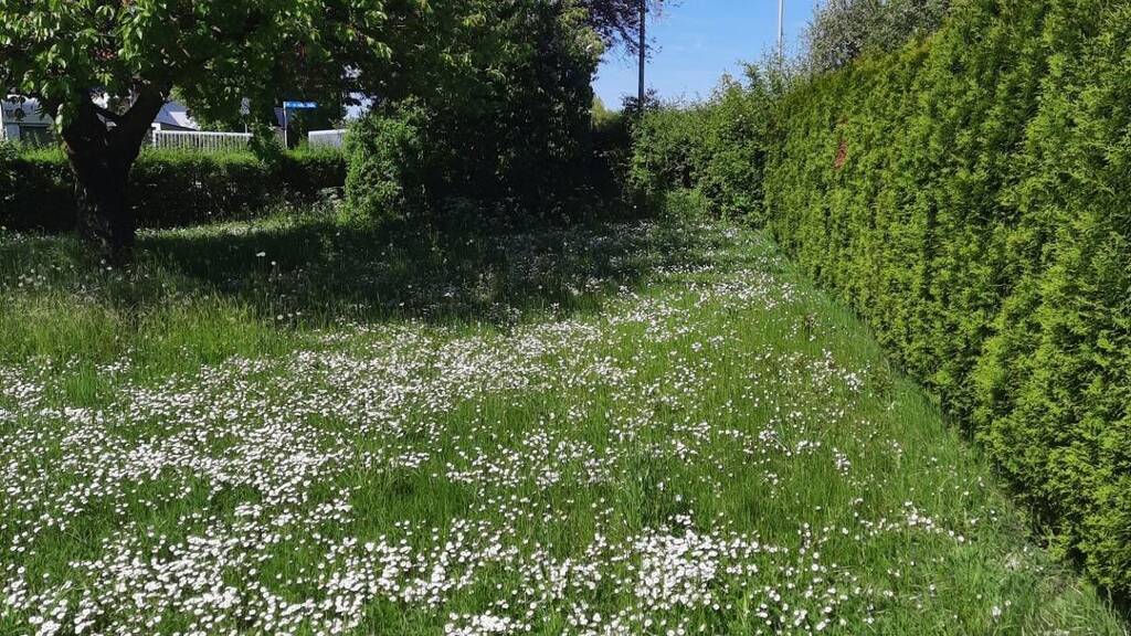 Grundstück zum Kauf 531.000 € Geldersheim 97505