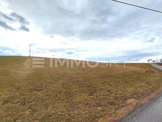 Land-/Forstwirtschaft zum Kauf 139.000 € 13.908 m² Grundstück Bergern 4730