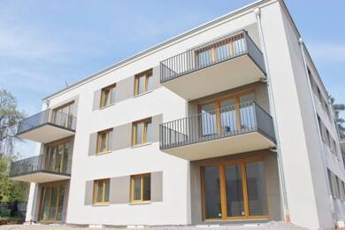 Wohnung zur Miete 1.750 € 4 Zimmer 103 m² EG frei ab sofort Kaiser-Friedrich-Straße 101 Eiche Potsdam 14469