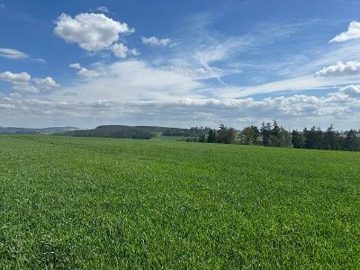 Land-/Forstwirtschaft zum Kauf 560.000 m² 560.000 m² Grundstück Büna Zeulenroda-Triebes 07937