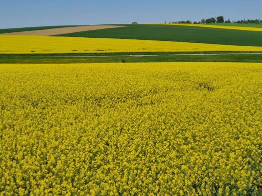 Landwirtschaftliche Fläche zum Kauf 18 € Haindlfing Freising 85354