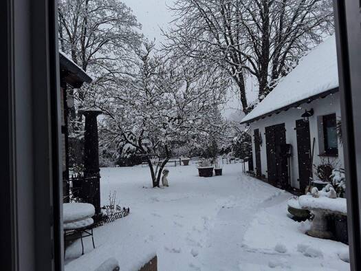 Haus zum Kauf 450.000 € 6 Zimmer 160 m² 848 m² Grundstück Bad Bevensen 29549