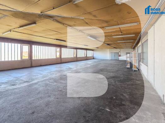Halle/Industriefläche zur Miete 1.970 € 330 m² Lagerfläche Traun 4050