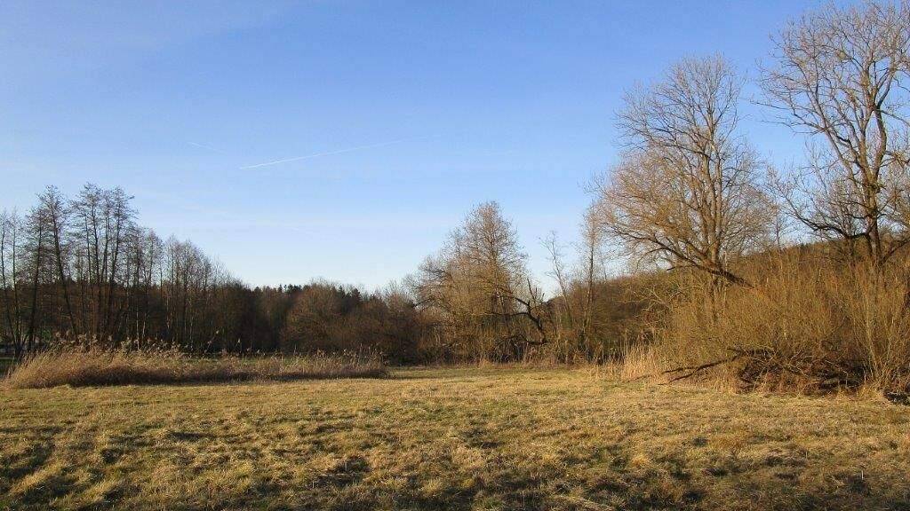 Grundstück zum Kauf Alling Vilshofen an der Donau 94474