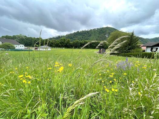 Gewerbegrundstück zum Kauf 438.000 € 6.257 m² Grundstück Gratkorn 8101