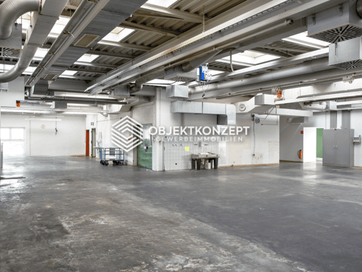Lagerhalle zur Miete 1.742,9 m² Lagerfläche Lindenhof Oberndorf am Neckar 78727