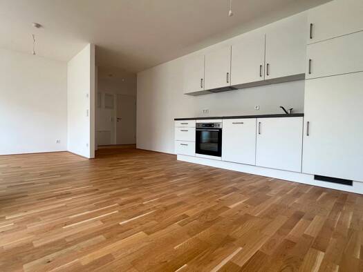 Wohnung zur Miete - Erstbezug 21,22 € 2 Zimmer 52 m² frei ab sofort Gudrunstraße 120 Wien 1100