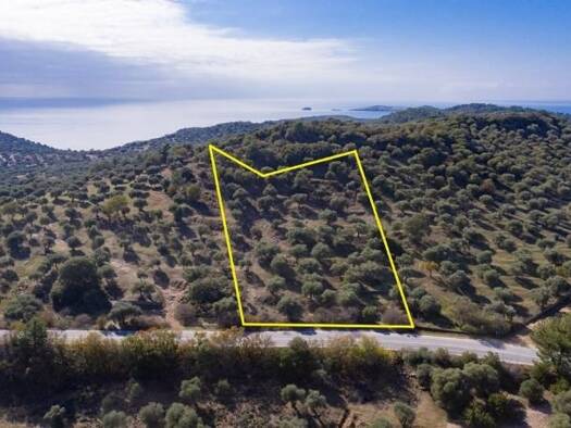 Grundstück zum Kauf 80.000 € 4.570 m² Grundstück Thassos, Astrida