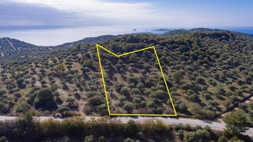 Grundstück zum Kauf 80.000 € 4.570 m² Grundstück Thassos, Astrida