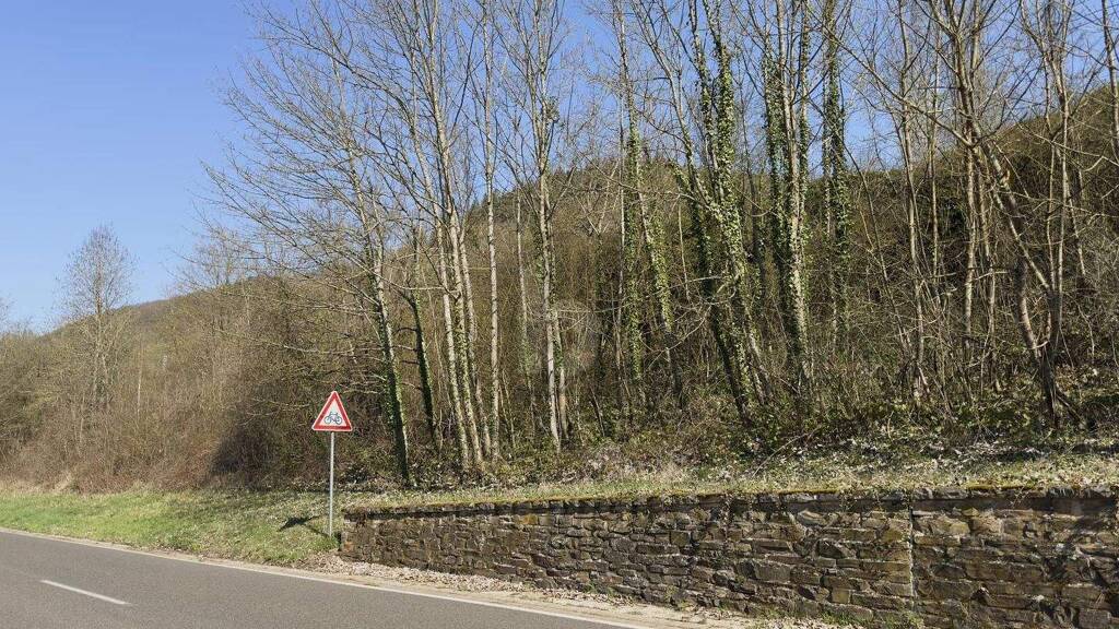 Grundstück zum Kauf 49.500 € 531 m² Grundstück Bullay 56859