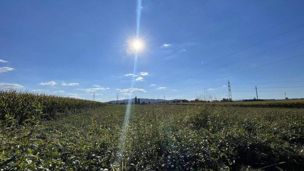 Grundstück zum Kauf 399.000 € 7.500 m² Grundstück Industriestraße Gralla 8431