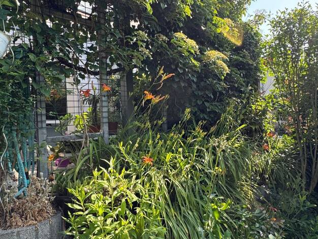 Reihenendhaus zum Kauf provisionsfrei 414.000 € 4 Zimmer 120 m² 330 m² Grundstück Schönwalde Wandlitz 16348