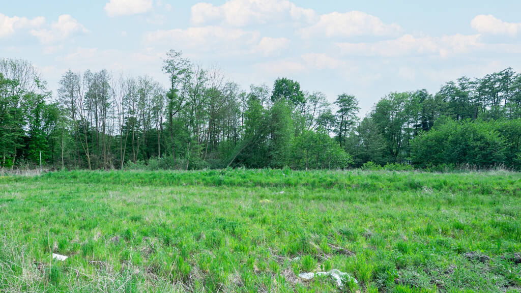 Grundstück zum Kauf 129.800 € 671 m² Grundstück Tüddern Selfkant / Tüddern 52538