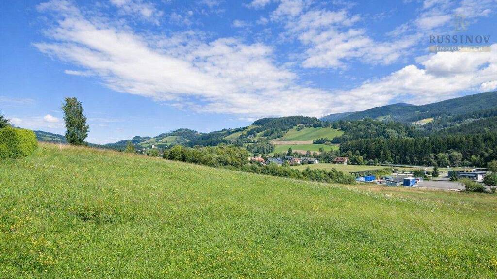 Grundstück zum Kauf 67.900 € 1.284 m² Grundstück Reichenfels 9463
