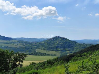 Land-/Forstwirtschaft zum Kauf 210.000 € Motovun center