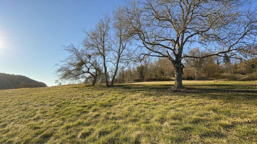 Grundstück zum Kauf 68.000 € 500 m² Grundstück Lindenweg Prenning 8121