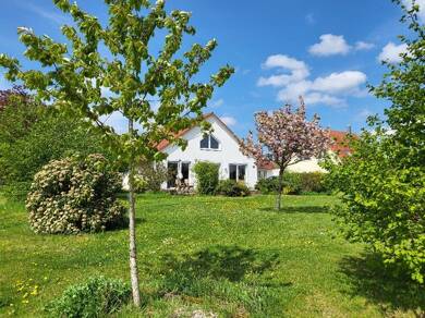 Reiterhof zum Kauf 2.480.000 € 1.500 m² 41.000 m² Grundstück Höchstadt Höchstadt a.d.Aisch 91315