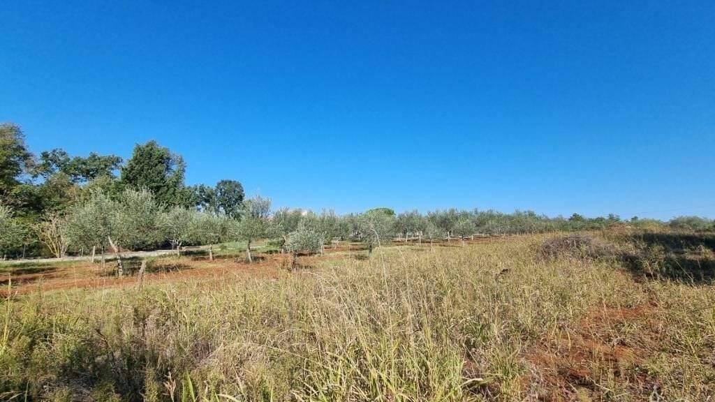 Land-/Forstwirtschaft zum Kauf 237.000 € Lovrecica, Petrovija, Materada