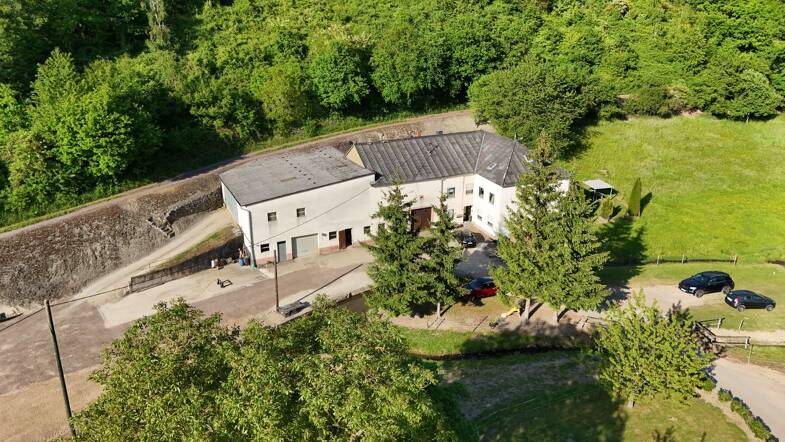 Haus zum Kauf 649.000 € 250 m² 14.000 m² Grundstück Obere Kaselmühle 1 Beurig Saarburg 54439