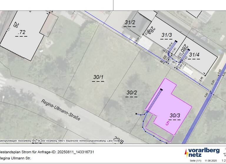 Grundstück zum Kauf 525.280 € 536 m² Grundstück Regina-Ullman-Straße Hohenems 6845