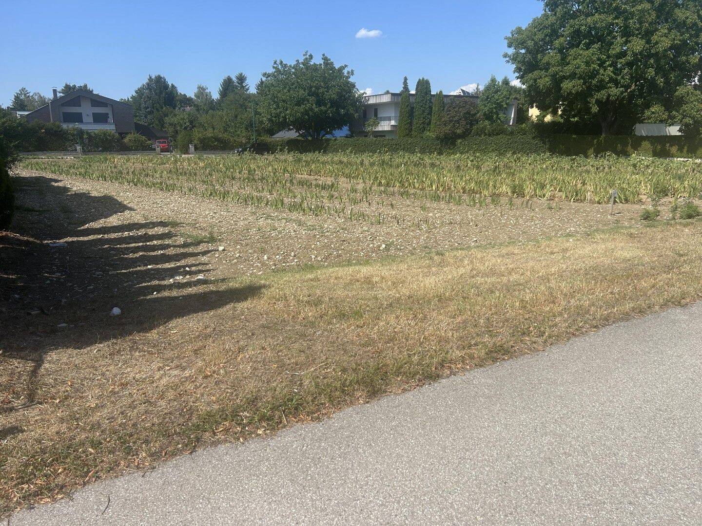 Grundstück zum Kauf - View 5