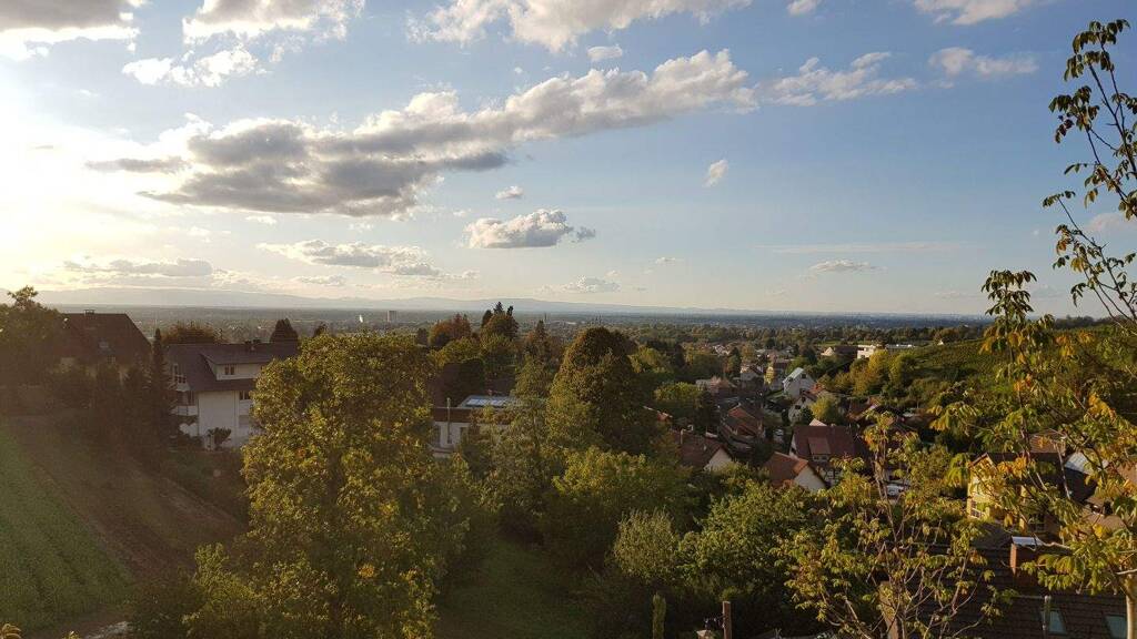 Haus zum Kauf 6 Zimmer 200 m² 6.345 m² Grundstück Fessenbach Offenburg 77654