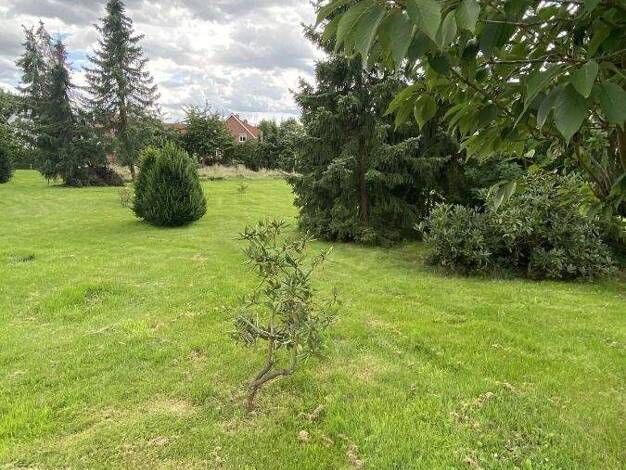 Grundstück zum Kauf 567.000 € 3.428 m² Grundstück Riede 27339