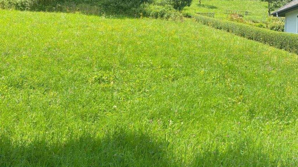 Grundstück zum Kauf 286.000 € 6.366 m² Grundstück Bad Loipersdorf 8282