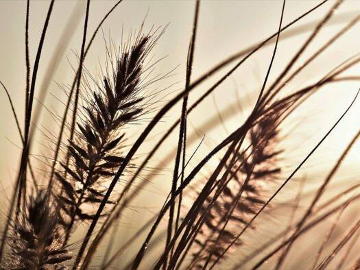 Einfamilienhaus zum Kauf 604.363 € 6 Zimmer 160 m² 484 m² Grundstück Ickern Castrop Rauxel 44577