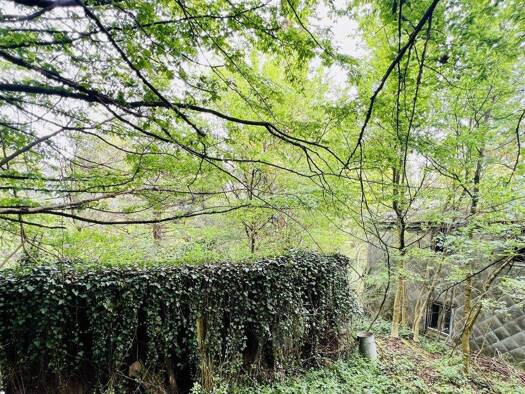 Grundstück zum Kauf 349.000 € 1.303 m² Grundstück Pressbaum 3013