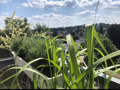 Wohnung zur Miete 800 € 2,5 Zimmer 62 m² Geschoss 5/7 frei ab 01.10.2025 Neusäß 86356