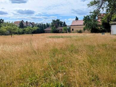 Grundstück zum Kauf 299.000 € 2.900 m² Grundstück Peickwitz Peickwitz 01945