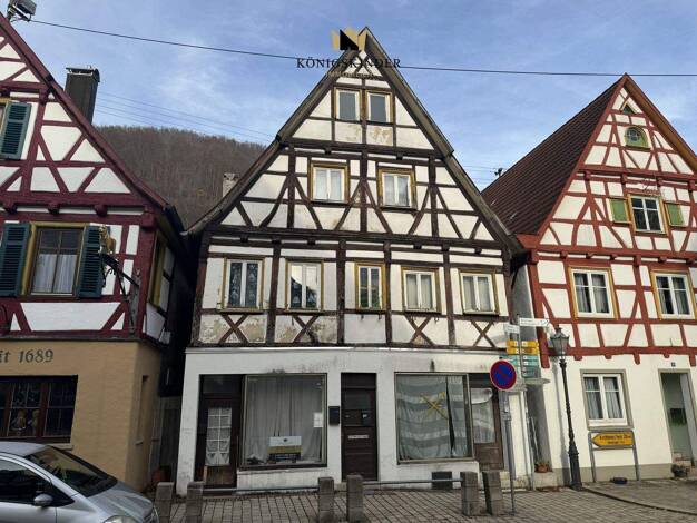 Mehrfamilienhaus zum Kauf 250.000 € 185 m² 193 m² Grundstück Wiesensteig 73349