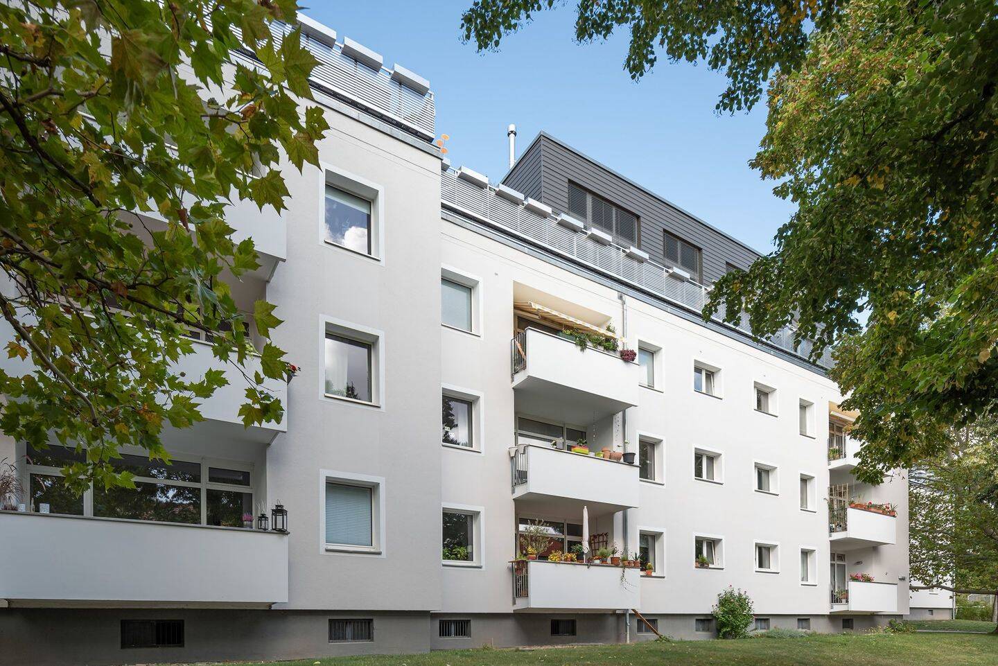 Property thumbnail 7