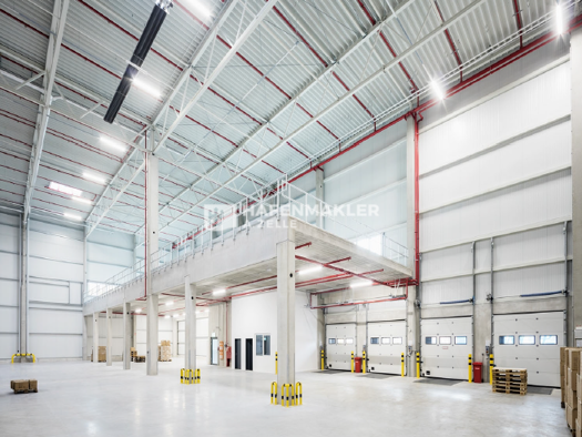 Halle/Industriefläche zur Miete provisionsfrei 21.600 m² Lagerfläche Bad Oldesloe 23843