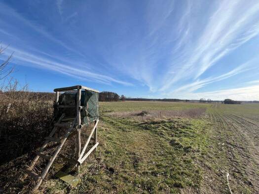 Land-/Forstwirtschaft zum Kauf 750.000 m² Grundstück Kobande Demen 19089