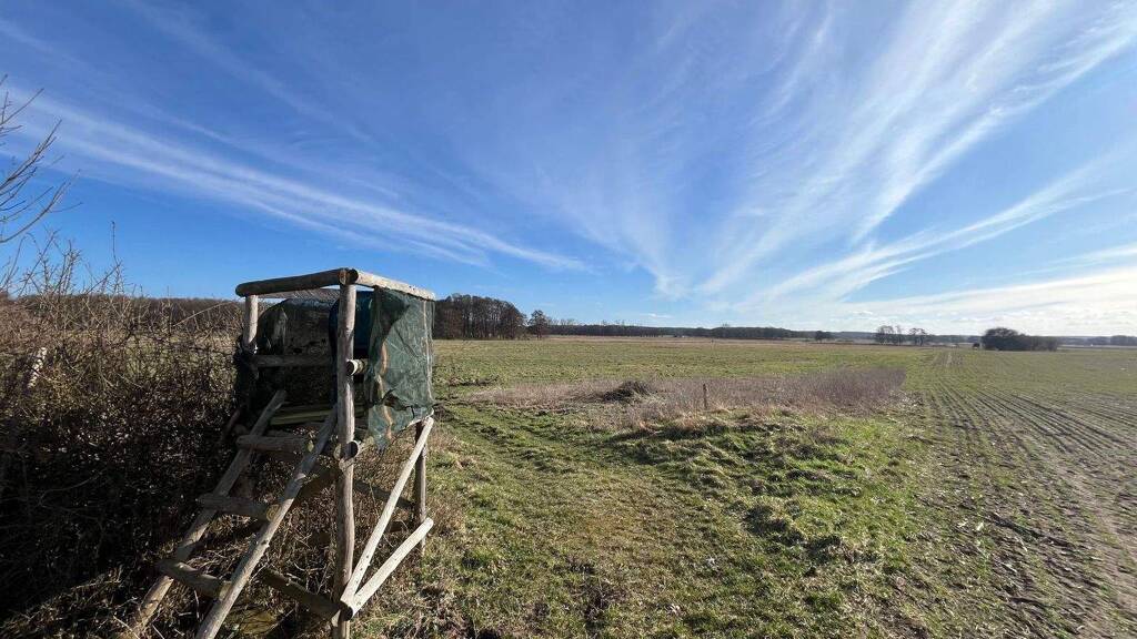 Land-/Forstwirtschaft zum Kauf 750.000 m² Grundstück Kobande Demen 19089