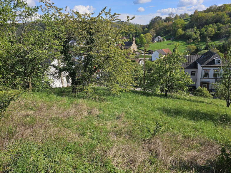 Grundstück zum Kauf provisionsfrei 79.000 € 1.151 m² Grundstück Nitteler Straße Mannebach 54441