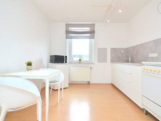 Studio zur Miete Wohnen auf Zeit 590 € 1 Zimmer 45 m² frei ab 01.03.2026 Rennweg Nürnberg 90489