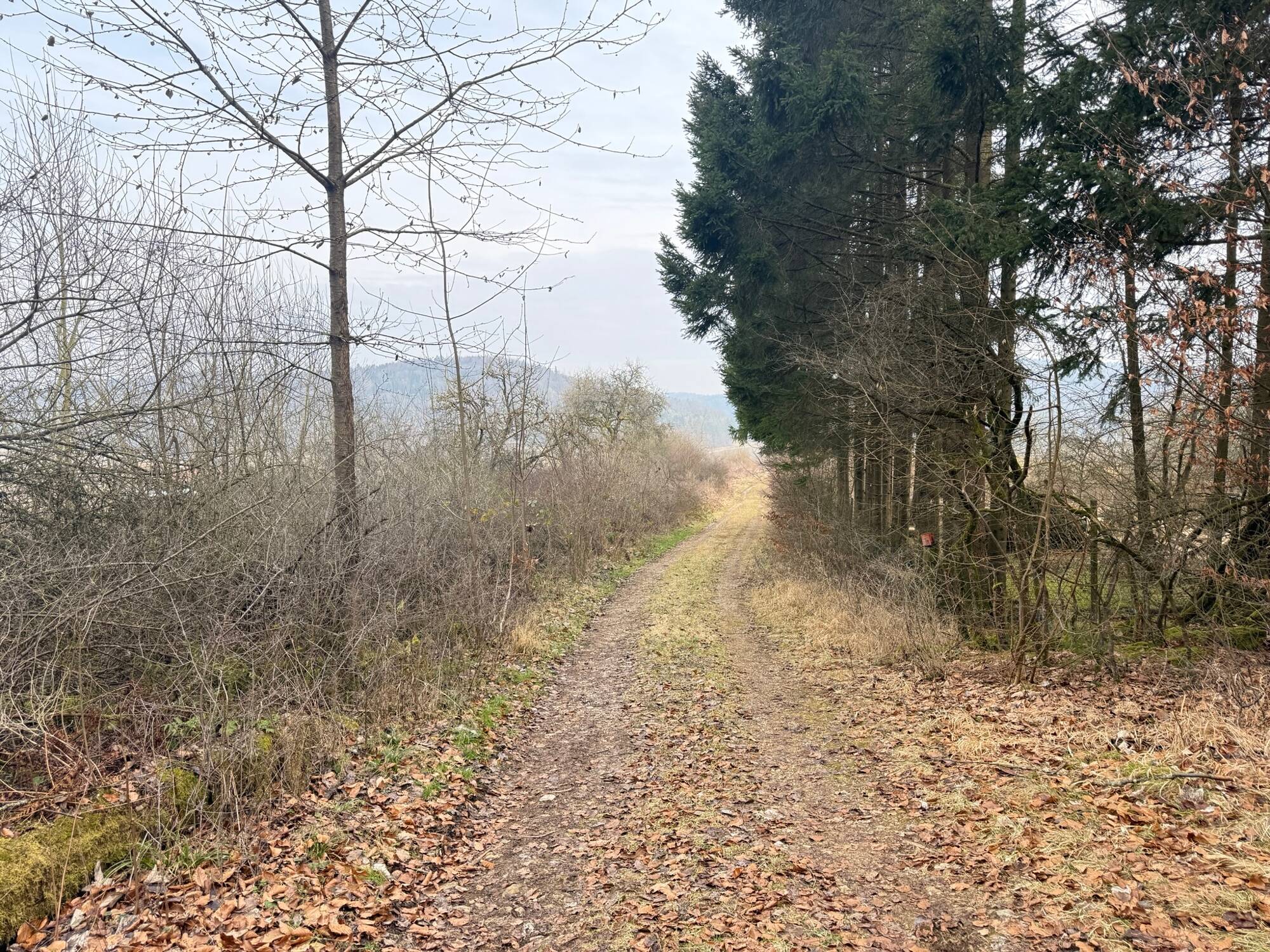 Land-/Forstwirtschaft zum Kauf - Mehr